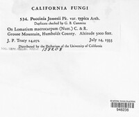 Puccinia jonesii image